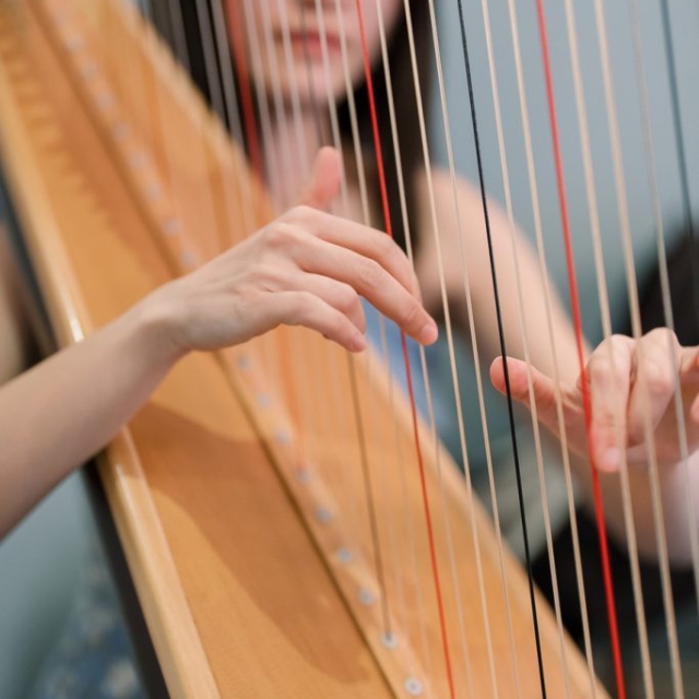 A person plays a harp, their hands moving gracefully along the strings like lanes of shimmering sound, with the instrument and player's face softly out of focus in the background.