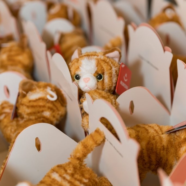 Rows of plush orange tabby cat toys with white faces are arranged in individual white cardboard carriers, adding a playful touch to the display at The Lanes.