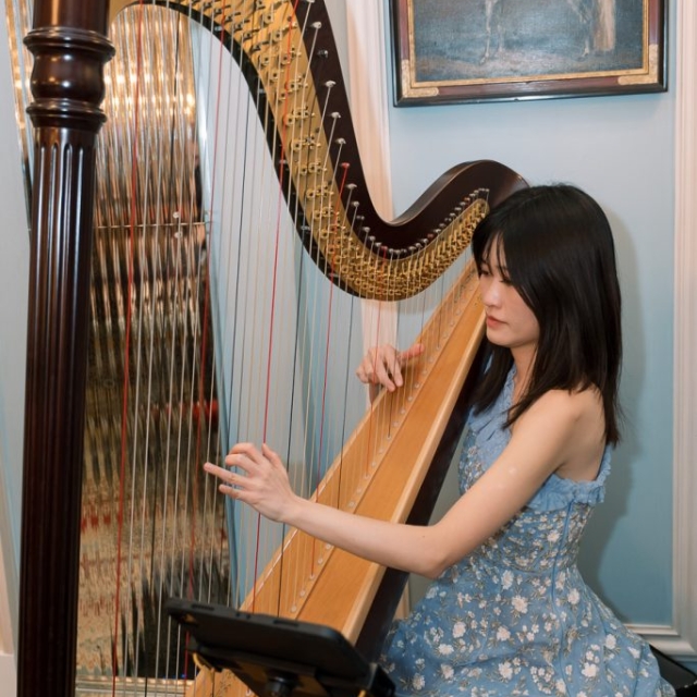 A woman in a blue floral dress plays a harp indoors in The Lanes, with a painting of a white horse hanging on the wall behind her.